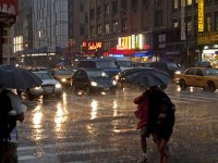 New York Rain 2